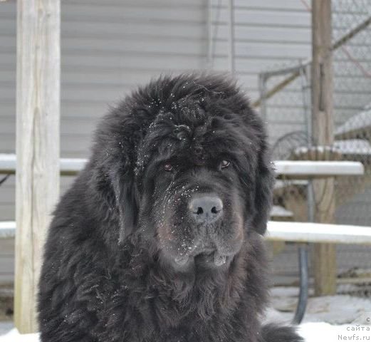 Фотография № 86066