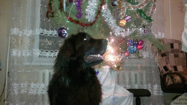 Фотография № 86067