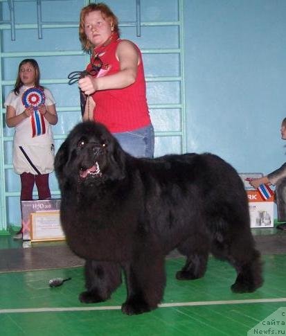 Фотография № 86076