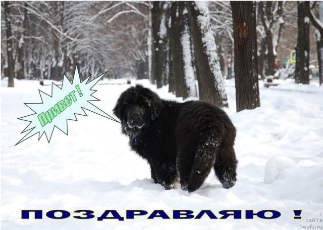 Фотография № 86131