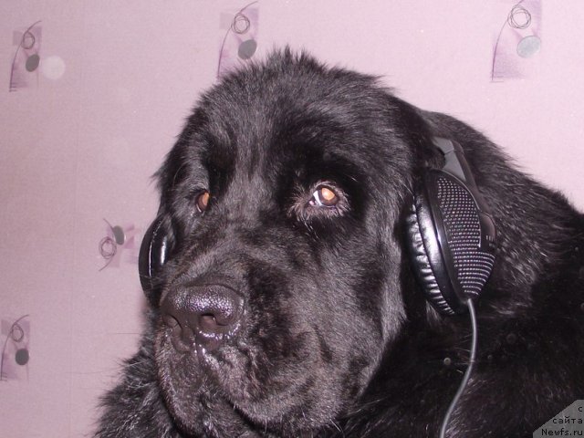 Фотография № 86141