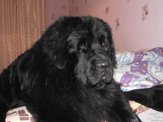 Фотография № 86143