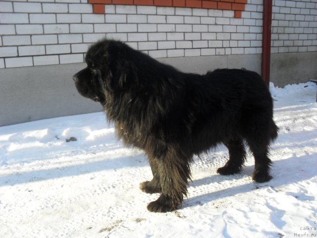 Фотография № 86158