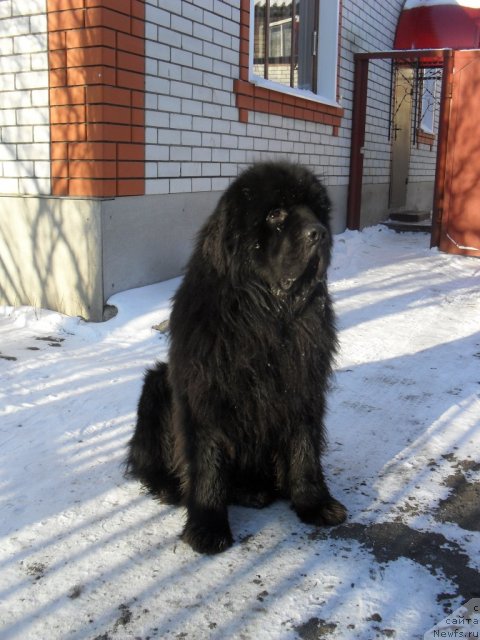 Фотография № 86160