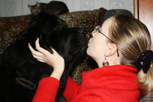 Фото: ньюфаундленд Глория Гранд Блек, и Наташа.