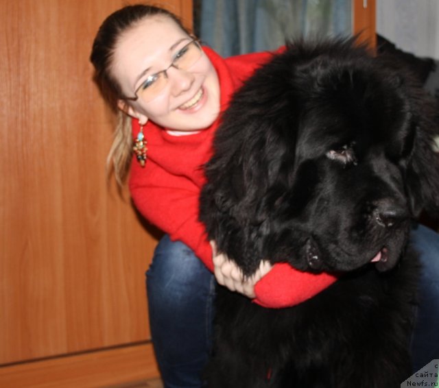 Фото: ньюфаундленд Бегущая по Волнам Зеро Коол, и Наташа.