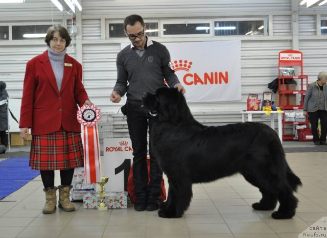 Фотография № 86187