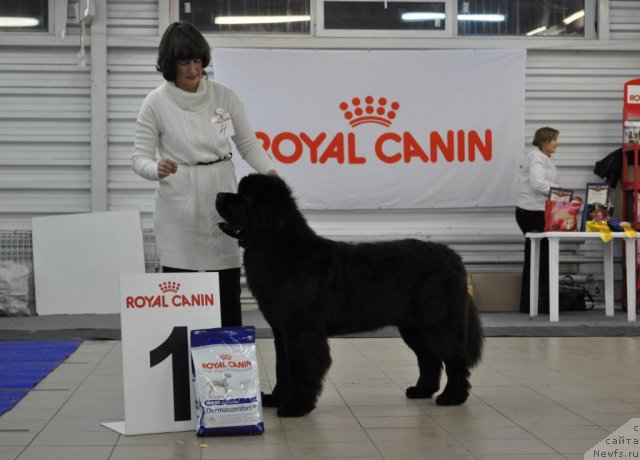 Фотография № 86191