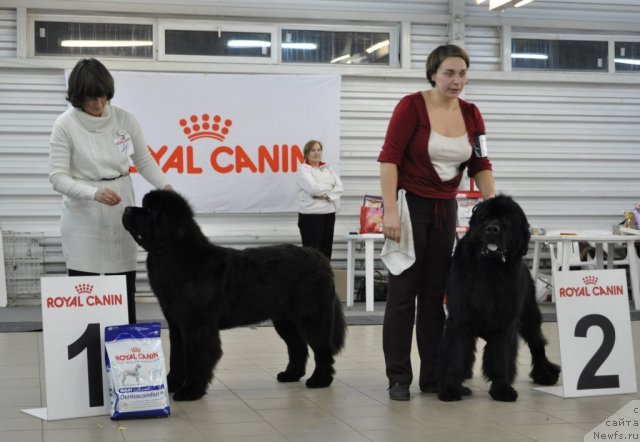 Фотография № 86192