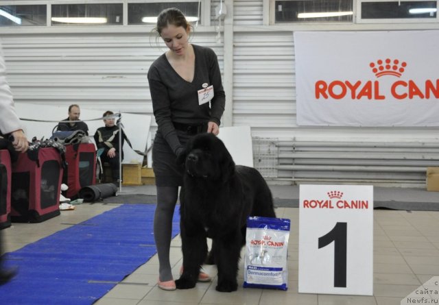 Фотография № 86201