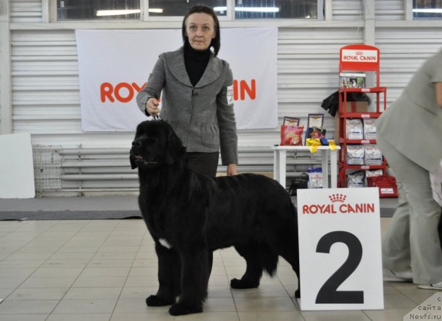 Фотография № 86202