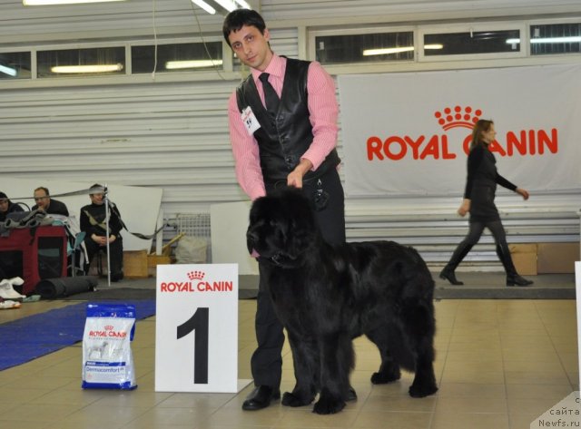 Фотография № 86203