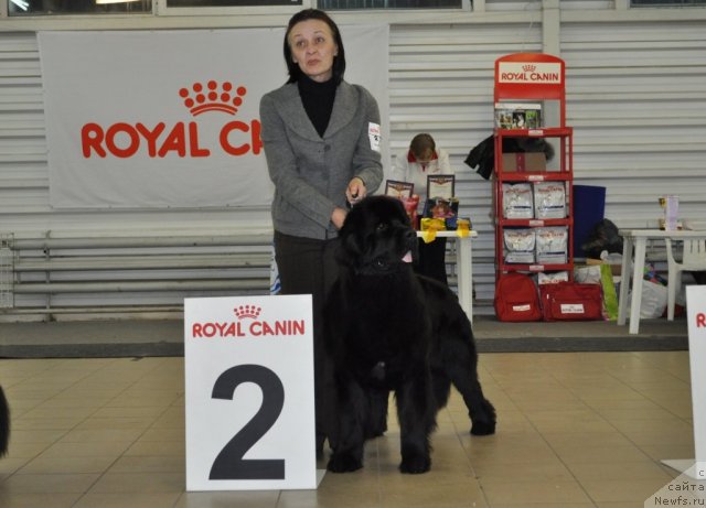 Фотография № 86204