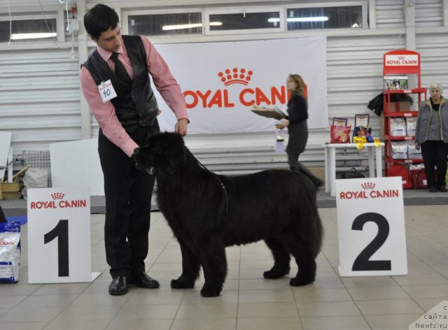 Фотография № 86208