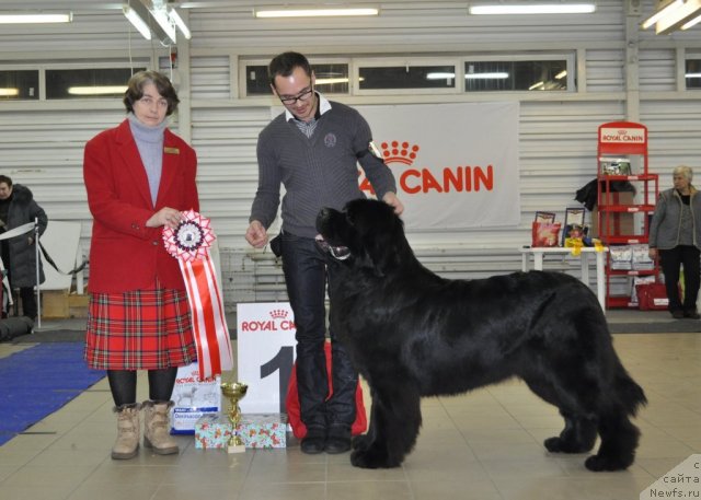 Фотография № 86211