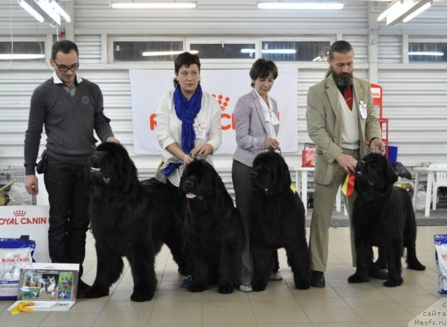 Фотография № 86214