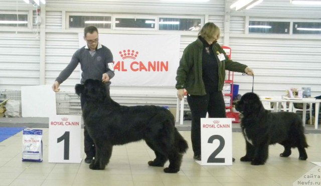 Фотография № 86225