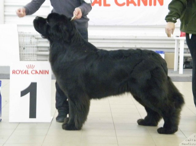 Фотография № 86226