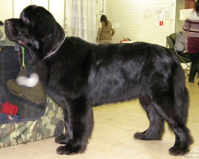 Фотография № 86227