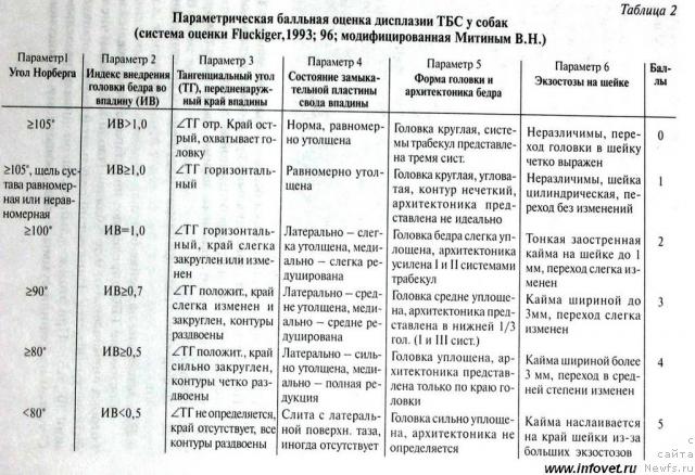 Фотография № 8623