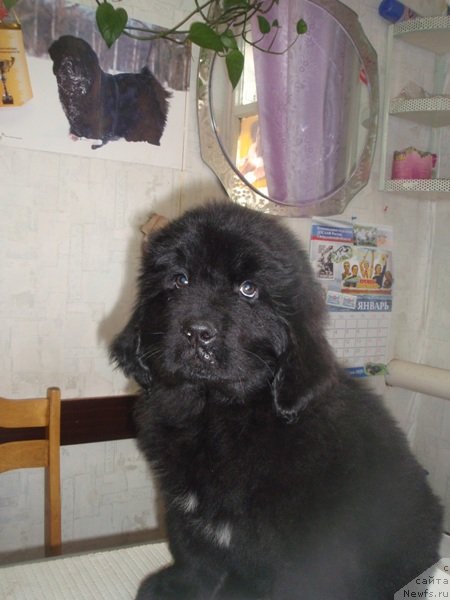 Фотография № 86263