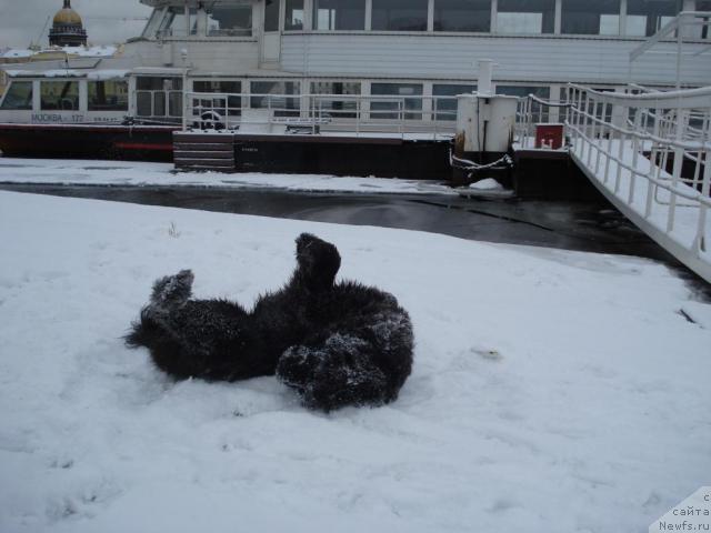 Фотография № 8627