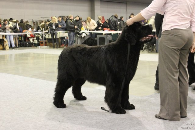 Фотография № 86272