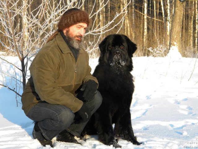 Фотография № 86281