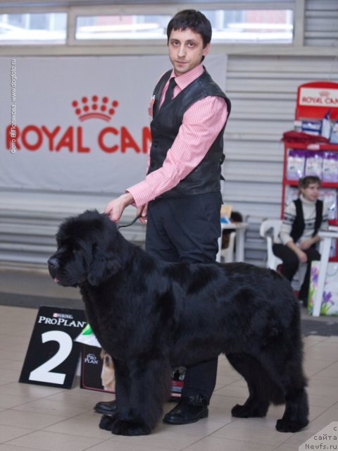 Фотография № 86309