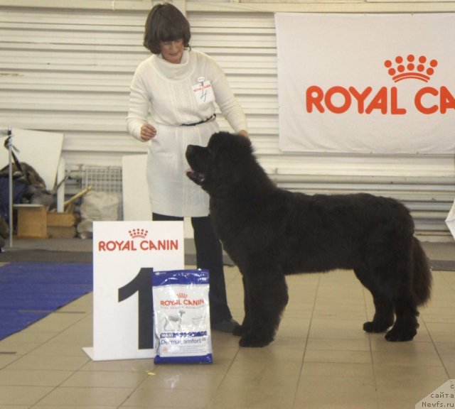 Фотография № 86320