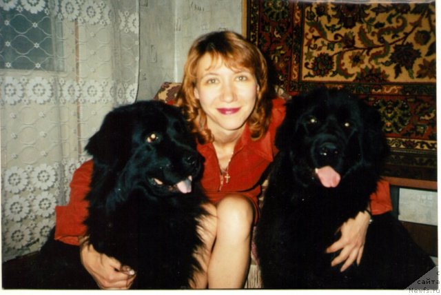 Фото: ньюфаундленд Жоанна из Племени Кедра, Лариса Мишина, ньюфаундленд Лесли