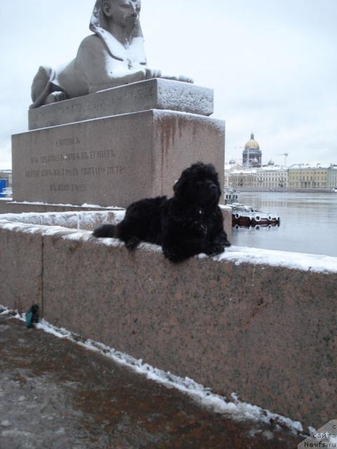 Фотография № 8634