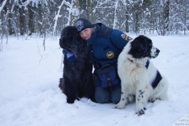 Фотография № 86363