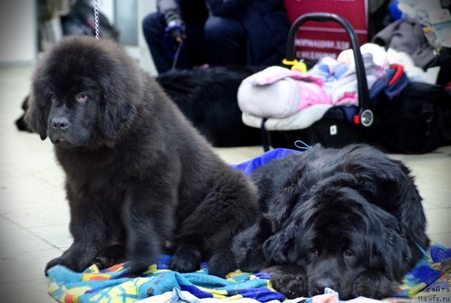 Фотография № 86364