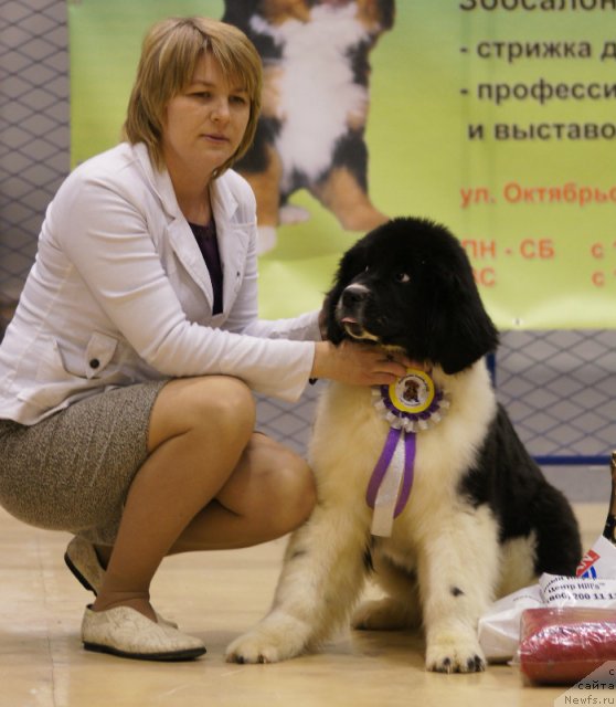 Фотография № 86383