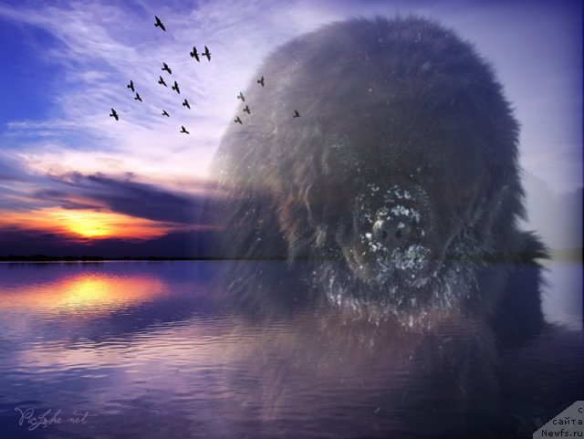 Фотография № 86409