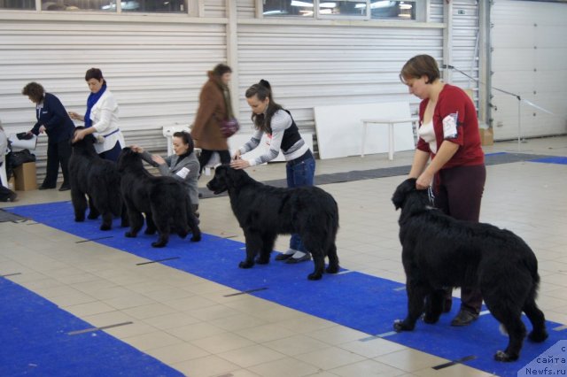 Фотография № 86411