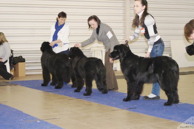 Фотография № 86412