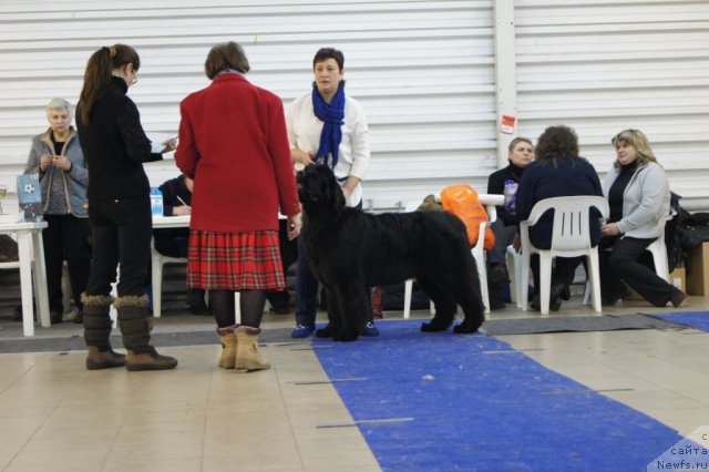 Фотография № 86414