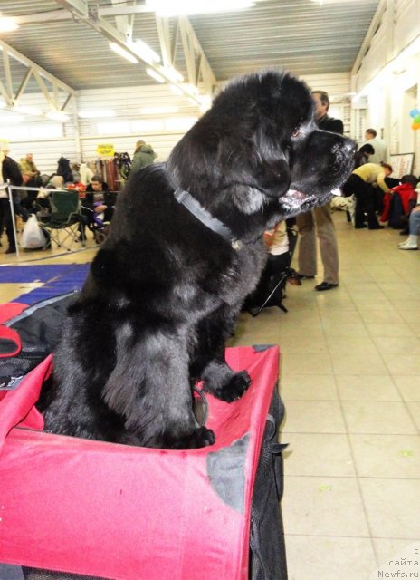 Фотография № 86418