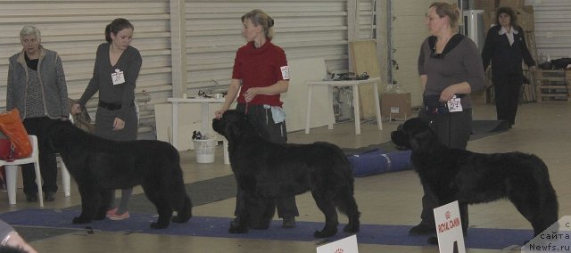 Фотография № 86460