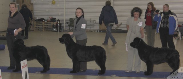 Фотография № 86461