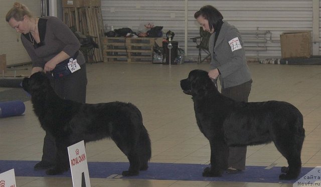 Фотография № 86463