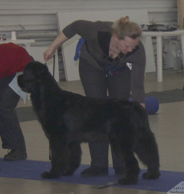 Фотография № 86464