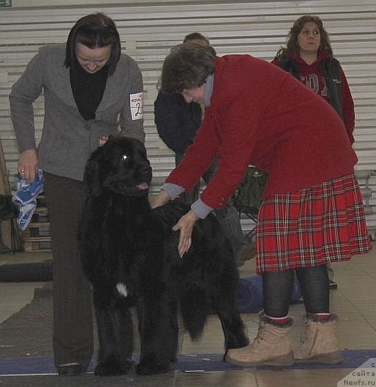 Фотография № 86467