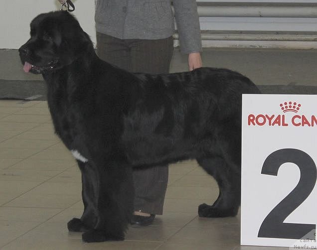 Фотография № 86468