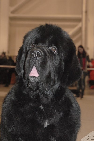 Фотография № 86475