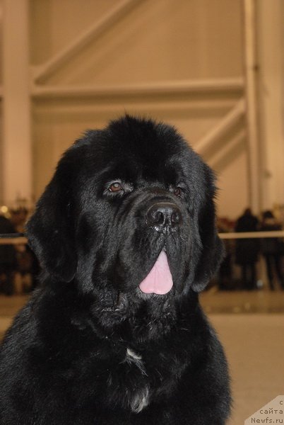 Фотография № 86477