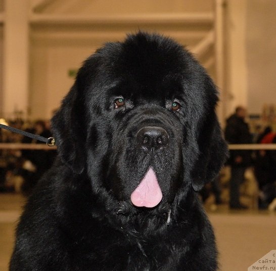 Фотография № 86478