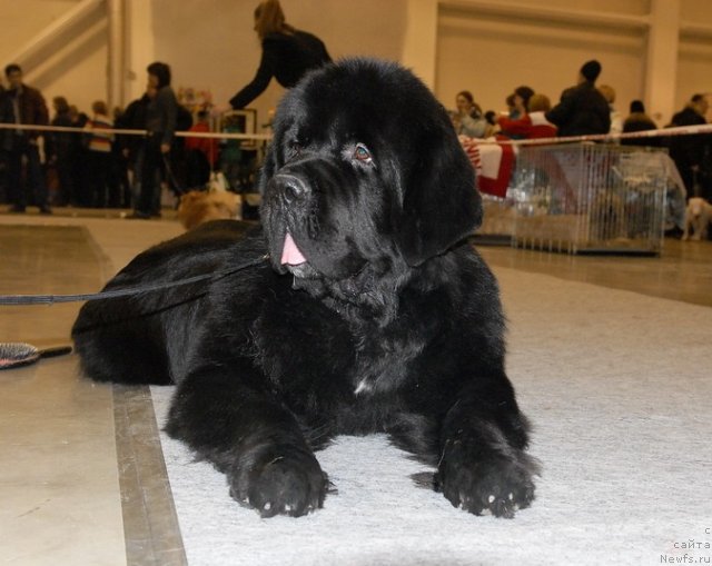 Фотография № 86479